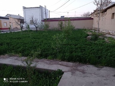 Qalqon markazidan 36 sotix turar joy sotiladi