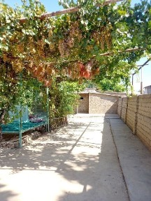 Ташкентская область, Кибрай