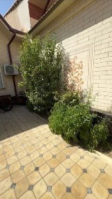 Ташкентская область, Ташкент, Мирабадский район