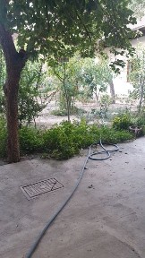 Ташкентская область, Ташкент, Мирзо-Улугбекский район