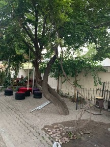 Ташкентская область, Ташкент, Мирзо-Улугбекский район