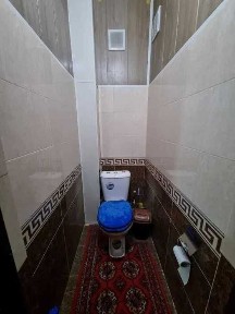 Ташкентская область, Алмалык