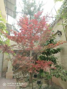 Ташкентская область, Ташкент, Яккасарайский район