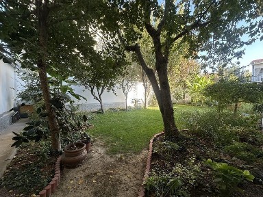 Ташкентская область, Ташкент, Мирзо-Улугбекский район