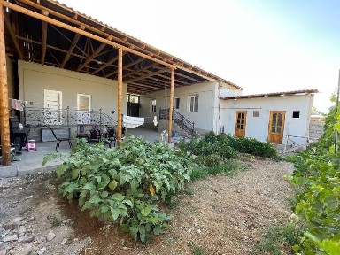 Ташкентская область, Нурафшан (Тойтепа)