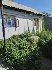 Ташкентская область, Чирчик