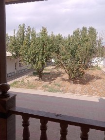 Ташкентская область, Келес