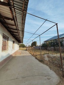 Ташкентская область, Нурафшан (Тойтепа)