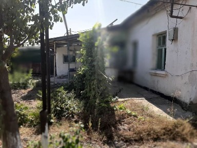 Ташкентская область, Зангиата