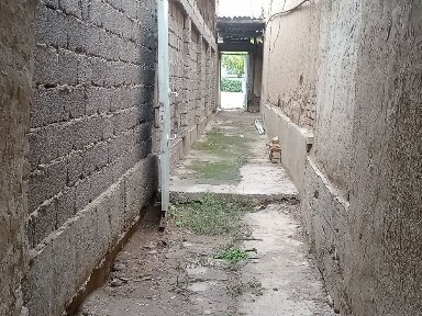 Ташкентская область, Ташкент, Учтепинский район