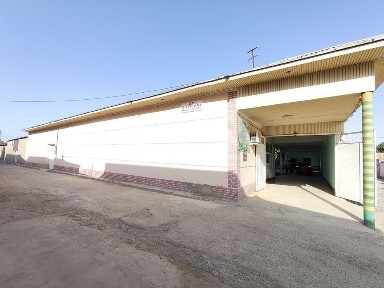 Zamonaviy kotej sotiladi