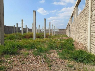 Ташкентская область, Нурафшан (Тойтепа)