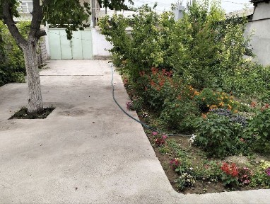 Ташкентская область, Ташкент, Бектемирский район