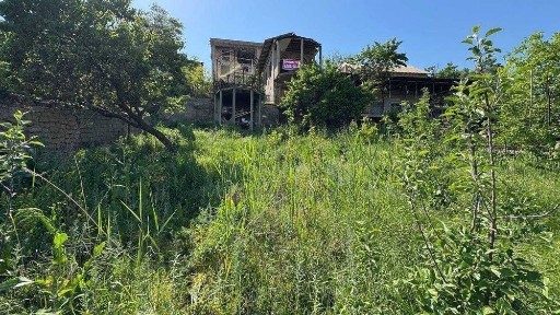 Ташкентская область, Зангиата