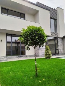 Ташкентская область, Ташкент, Чиланзарский район