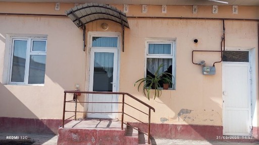 Kuva mingchinorda 2 sotiklik katej IJARAGA beriladi