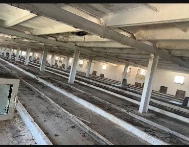 Ташкентская область, Кибрай