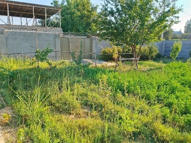 Ташкентская область, Зангиата