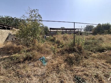 Ташкентская область, Пскент