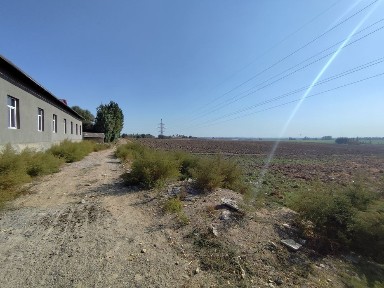 Ташкентская область, Янгиюль