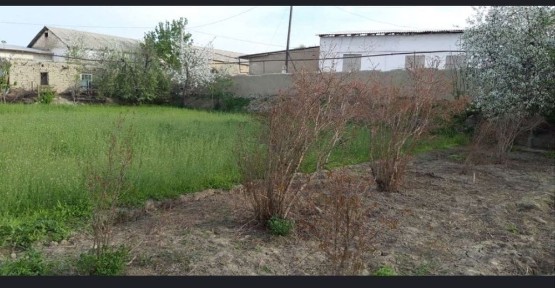 Hovli sotiladi varqda