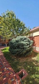 Ташкентская область, Ташкент, Яккасарайский район