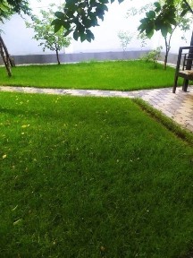 Ташкентская область, Ташкент, Мирзо-Улугбекский район