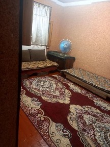 Ташкентская область, Нурафшан (Тойтепа)