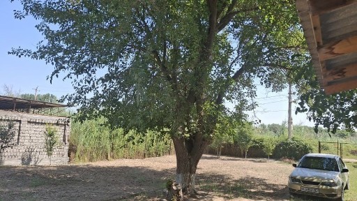 Ташкентская область, Нурафшан (Тойтепа)