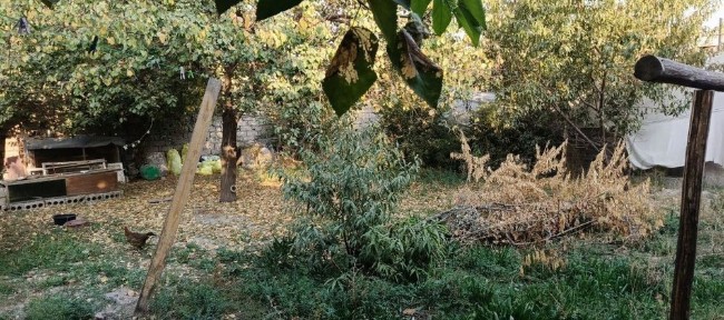 Ташкентская область, Янгиюль