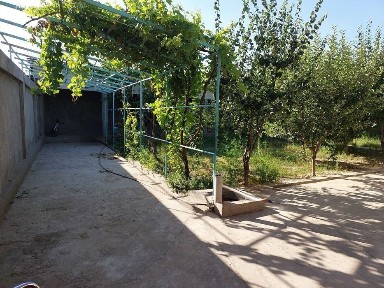 Ташкентская область, Ташкент, Алмазарский район