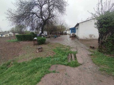 Sotiladi 7 xonali uy - Bekobod tumani, Bo‘ka tumani