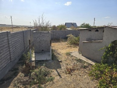 Ташкентская область, Красногорск