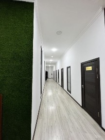 Ташкент, Мирзо-Улугбекский район, проспект Мустакиллик 88д