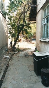 Ташкентская область, Ташкент, Яшнабадский район