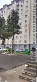 Ташкентская область, Ташкент, Мирзо-Улугбекский район