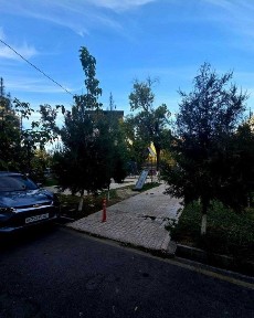 Хамид Алимджан, дархан с мебелью, техникой, ориентир ресторан Basri Baba