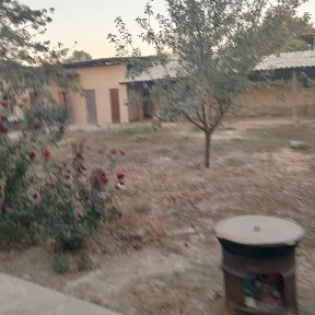 Ташкентская область, Зангиата