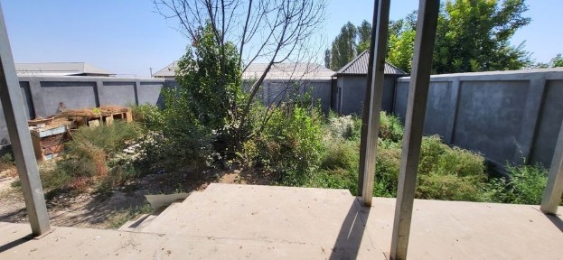 Ташкентская область, Нурафшан (Тойтепа)