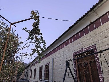 Бухарская область, Шафиркан