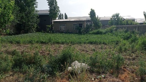 Ташкентская область, Кибрай