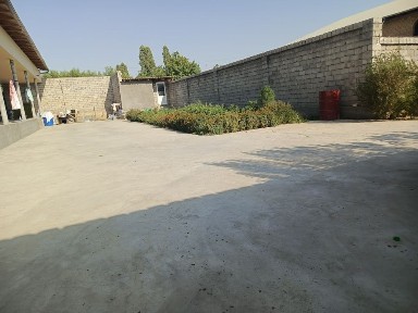 Ташкентская область, Янгиюль