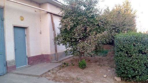 Ташкентская область, Кибрай