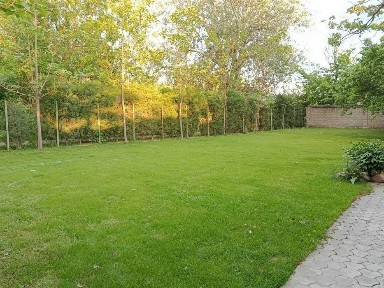 Ташкентская область, Нурафшан (Тойтепа)