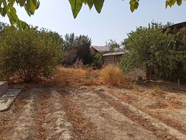 Ташкентская область, Ташкент, Яшнабадский район