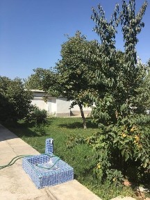 Ташкентская область, Ташкент, Сергелийский район