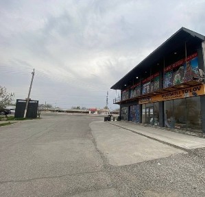 Сырдарьинская область, Янгиер