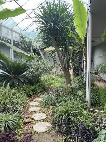 Ташкентская область, Ташкент, Мирзо-Улугбекский район