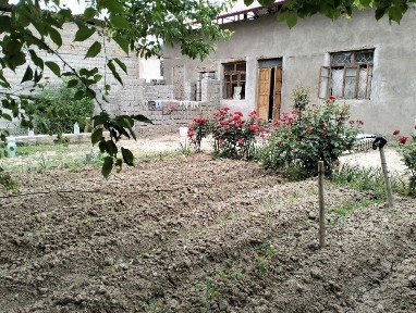 Ташкентская область, Ташкент, Бектемирский район