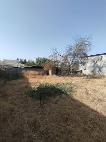 Ташкентская область, Ташкент, Бектемирский район